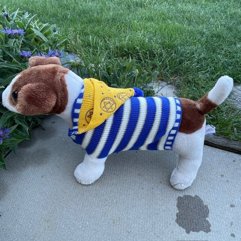 C For Chanukah Blue White And Yellow Dog Sweater & Beanie Set LARGE